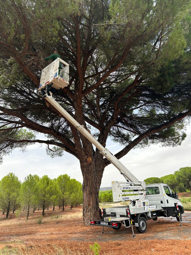 poda de árboles frutales