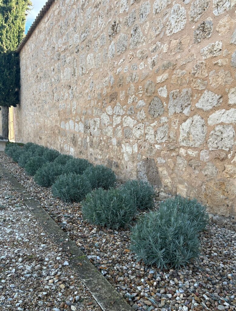 flores naturobra muro