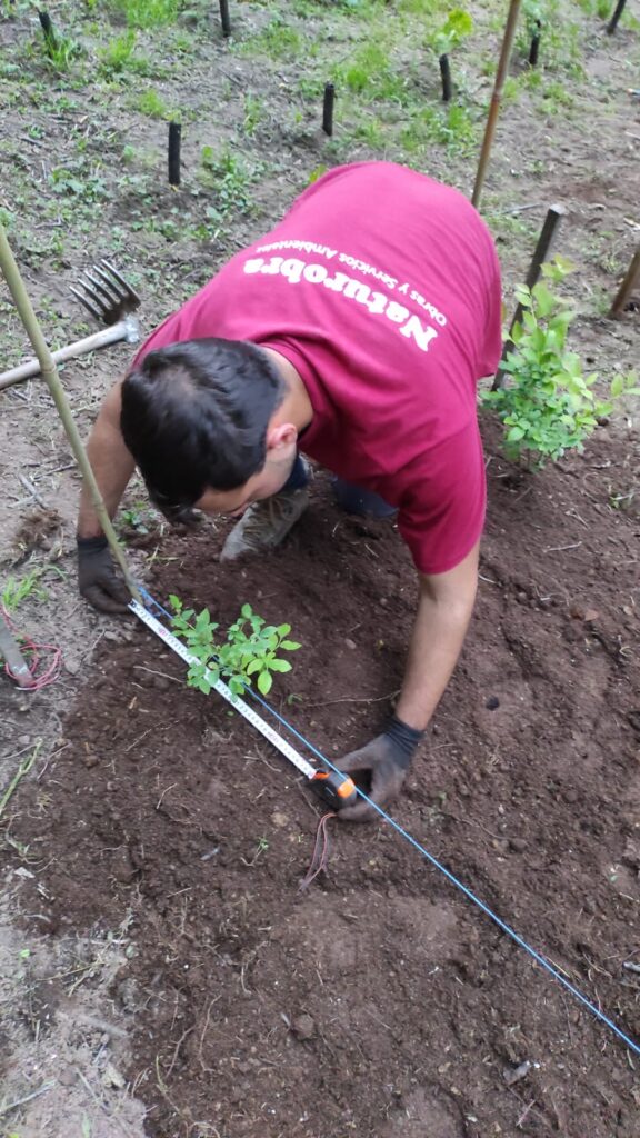 mantenimiento naturobra