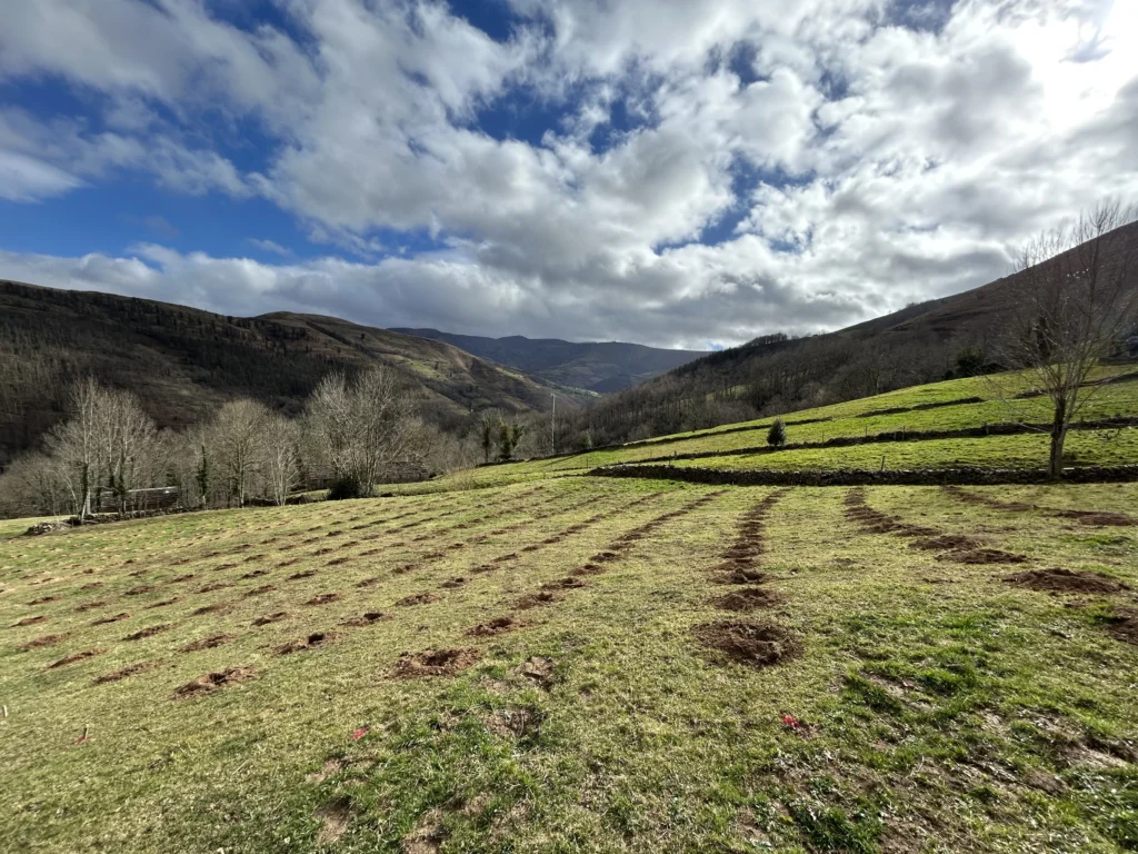 Marco de plantación en campo