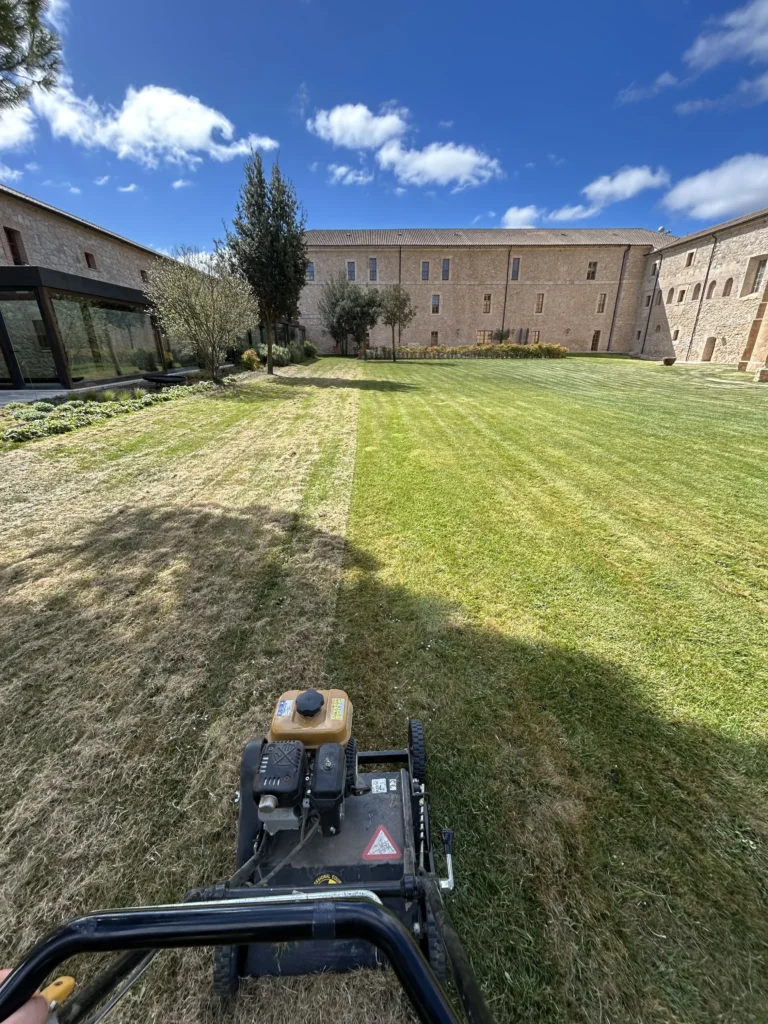 Compactado de césped con rodillo