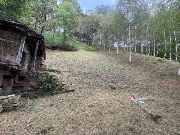 Terreno desbrozado en monte